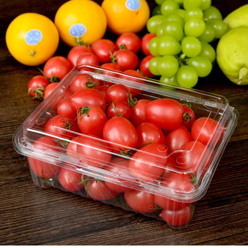 PET sheet production line final product